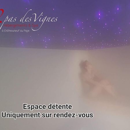 A 2 Pas Des Vignes, Hebergements Et Spa, Maison Numero 6, A Chateauneuf Du Pape Exteriör bild